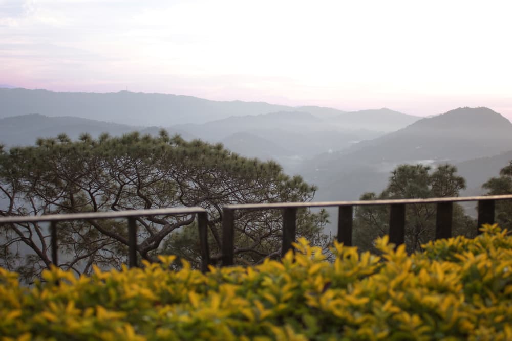Luxury Heritage Stay Near Golden Forest Panchkula for Weekend Travelers