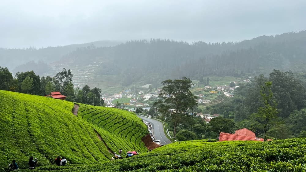 Tourist Places to Visit in Ooty for a Perfect Hill Station Getaway