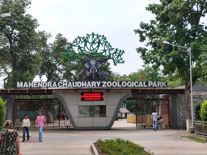 Heritage Hotels Near M.C. Zoological Park for Family Vacations