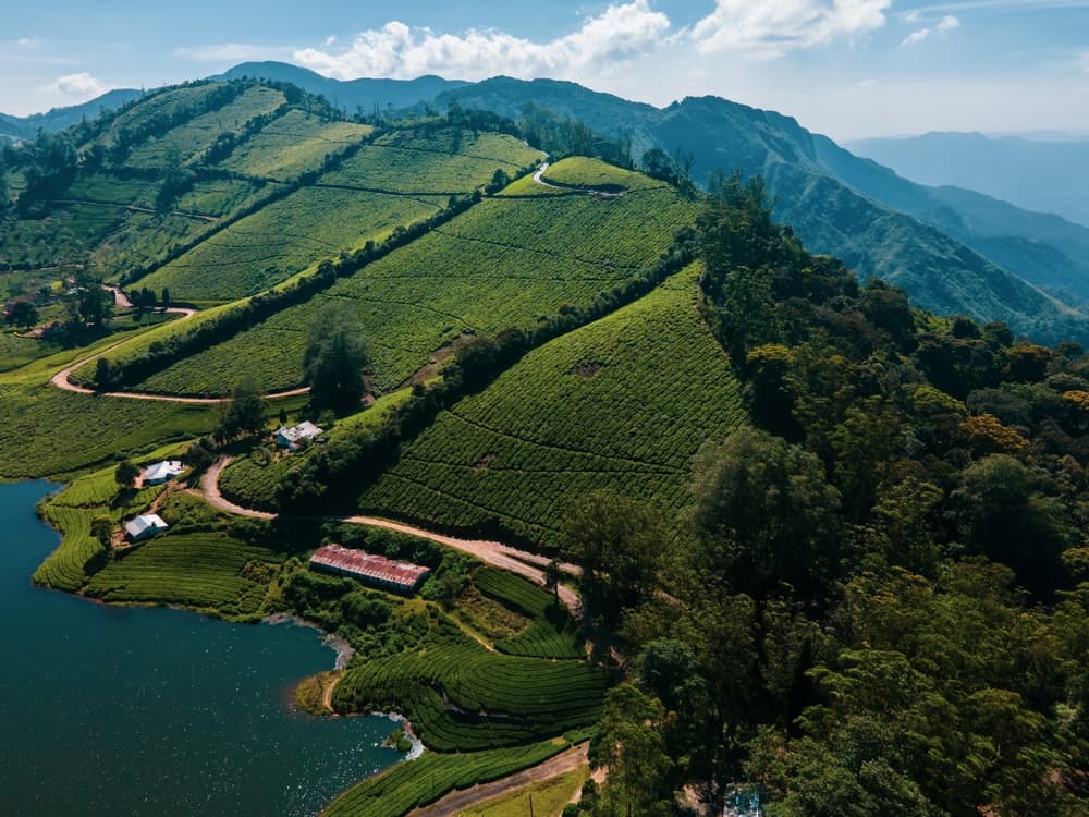 Family-Friendly Hill Stations Near Ooty for Summer Vacations